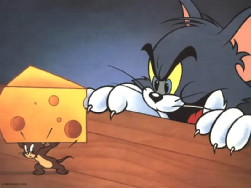 10 Février : Naissance de Tom et Jerry et Pont de la Seudre en 1972