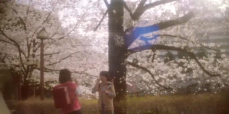 « 5 centimètres par seconde » en prises de vues réelles : un pari audacieux pour un film culte