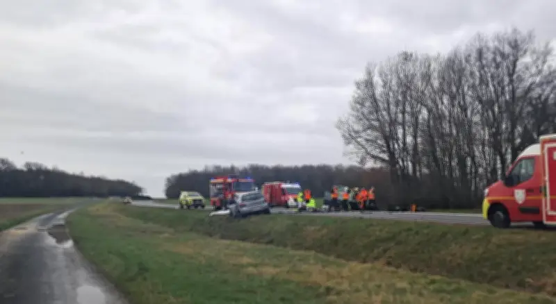 Accident grave sur la RD 733 à Saint-Sulpice-de-Royan : trois blessés graves