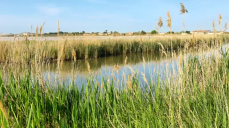 Adolescente de 15 ans retrouvée morte dans un canal de Noirmoutier après une sortie en trottinette