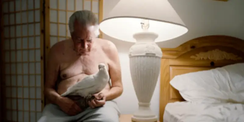 Alana Perino capture le deuil en Floride dans « Pictures of Birds »