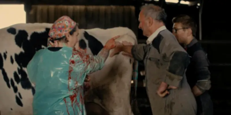 Amélie Jolivel, vétérinaire rurale, dévoile l'intimité du monde paysan dans un documentaire