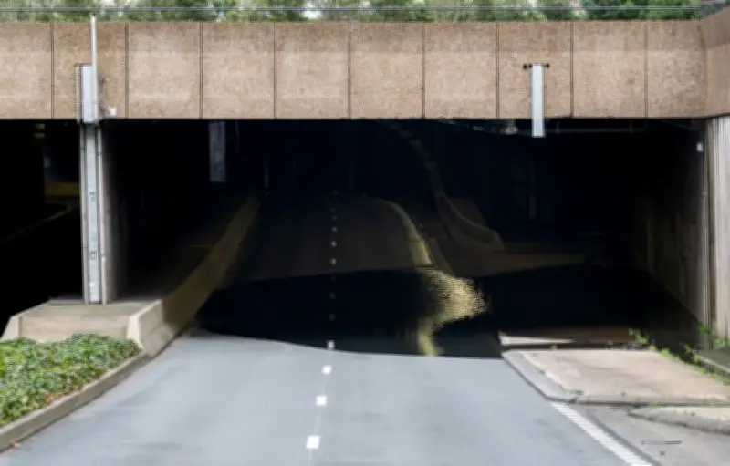 Angers inonde volontairement ses routes pour soulager la pression de la Maine en crue