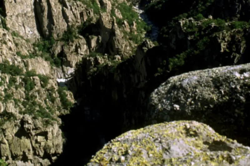 Ardèche : un homme retrouvé vivant au fond d'un ravin cinq jours après une chute de 300 mètres