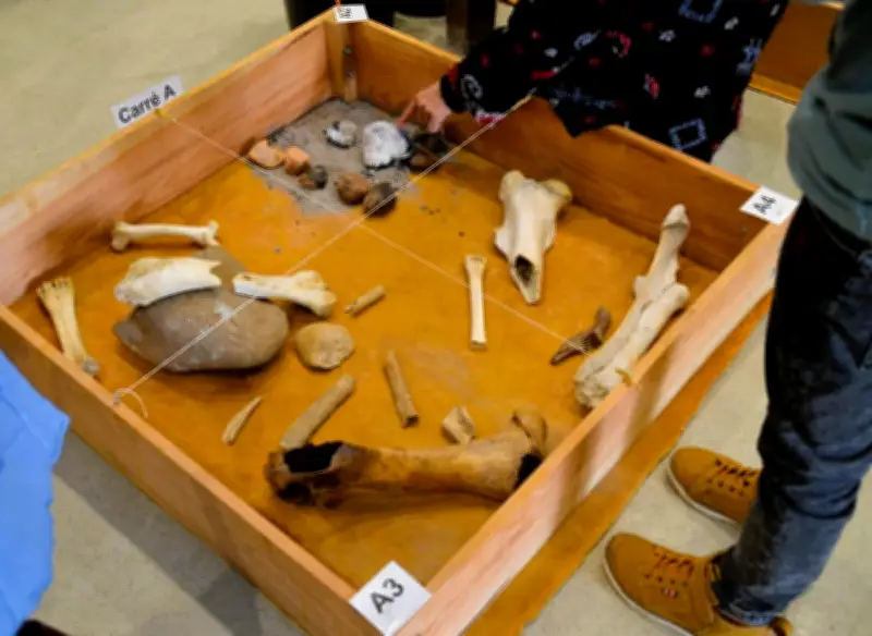 Atelier immersif sur la Préhistoire et la géologie de l'Estuaire par Paleo-Estuaire33