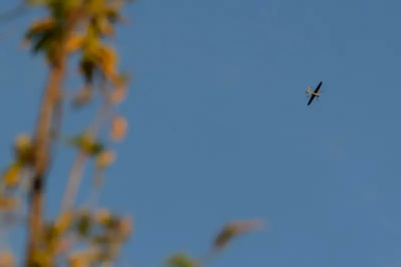 Attaque massive de drones ukrainiens en Crimée, plus de 150 détruits par la Russie