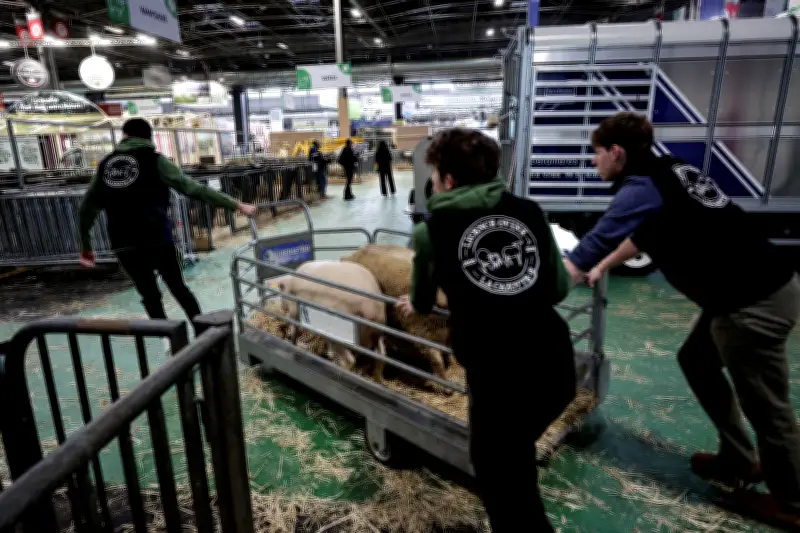 Au Salon de l'Agriculture, la vie nocturne des éleveurs et les échanges en coulisses