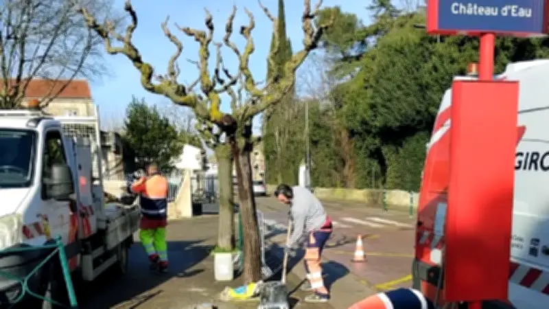 Aubord : Un nouvel abri-bus protège enfin les élèves à l'arrêt Château d'eau