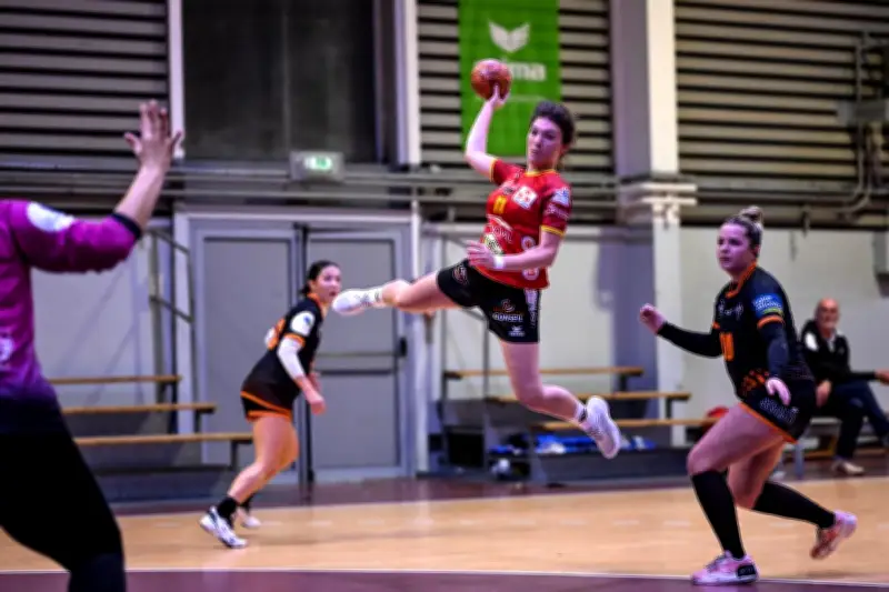 Aunis Handball face à Carquefou : Les Perdrix veulent se rattraper après une défaite frustrante
