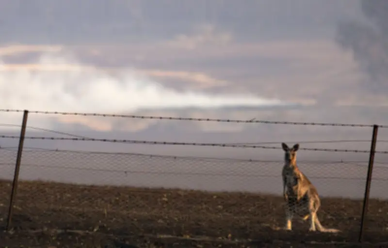 Australie : Victoria face aux flammes, entre adaptation et traditions