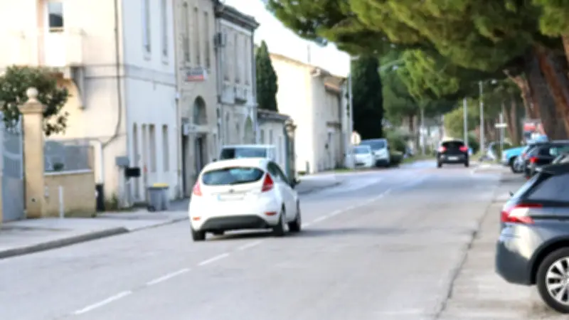 Avenue Robert-de-Joly à Uchaud : Des travaux pour sécuriser la chaussée déformée par les pins