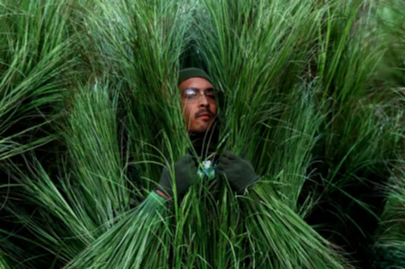 Bad Bunny au Super Bowl : un message politique fort derrière le déguisement végétal