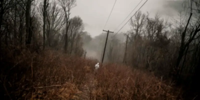 Barkley Marathons 2026 : une édition sans vainqueur pour la deuxième année consécutive