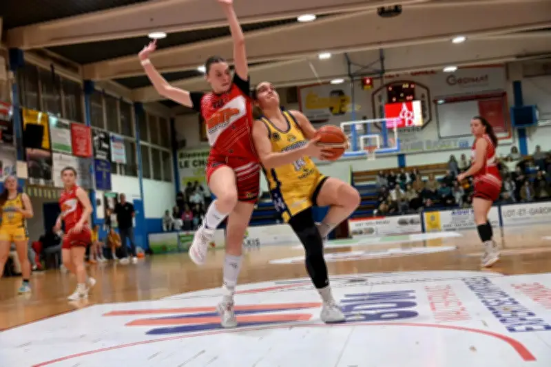 Basket féminin : Garonne AB face à l'Avenir Basket Chalosse pour un choc capital