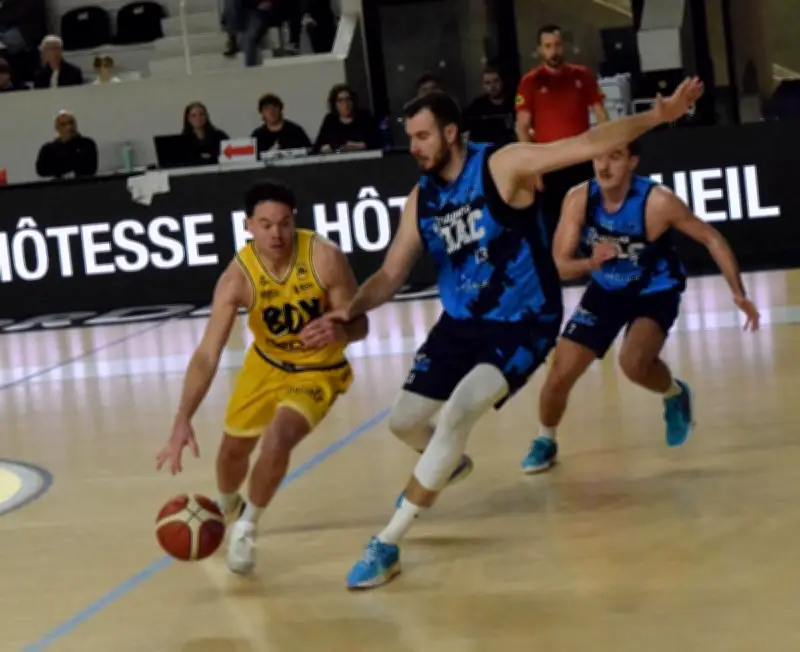 Basket Pro B : Les JSA Bordeaux visent la passe de trois face à Niort