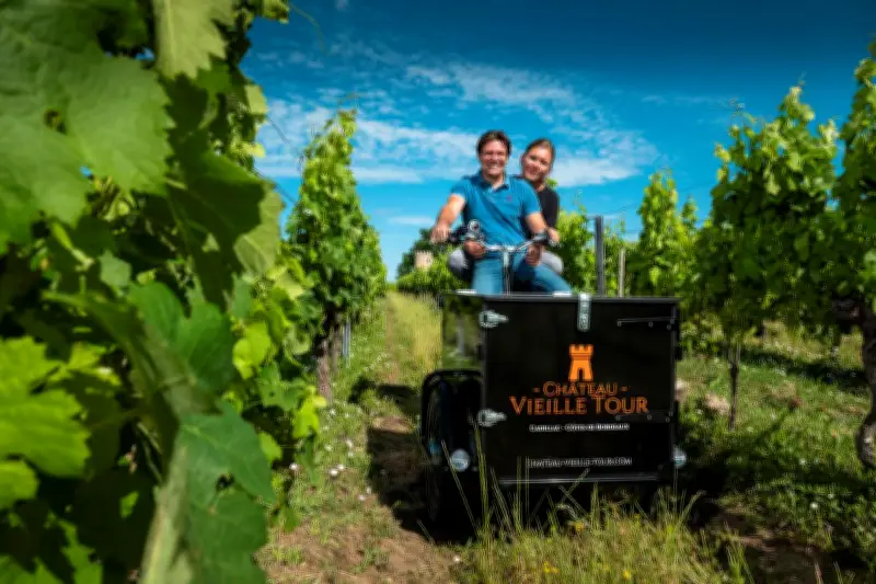 Béatrice-Anne Gouin écrit un roman pour survivre à la liquidation de son domaine viticole