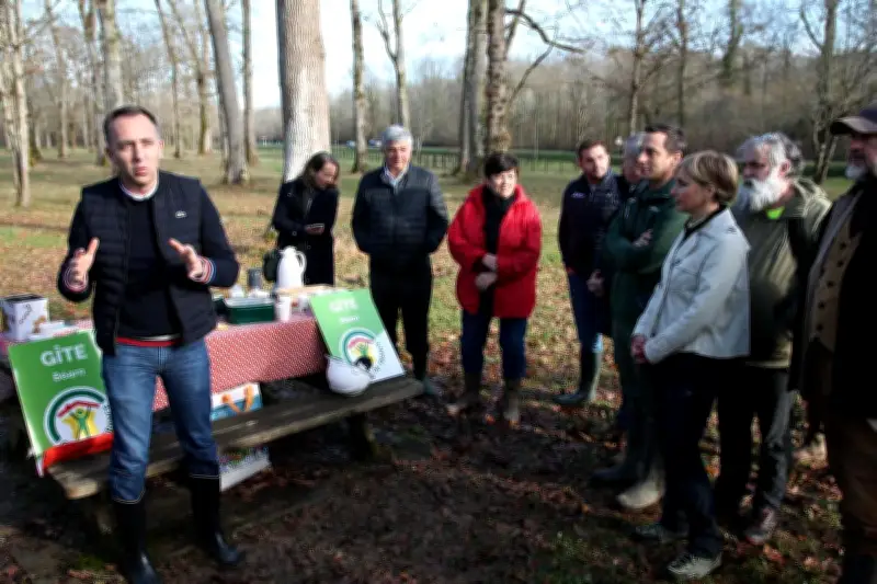 Biomasse et forêt durable : le préfet et les acteurs forestiers défendent leur vision à Monein