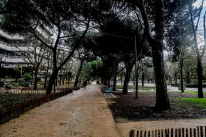 Bordeaux : la réhabilitation de l'esplanade Charles-de-Gaulle de Mériadeck avance