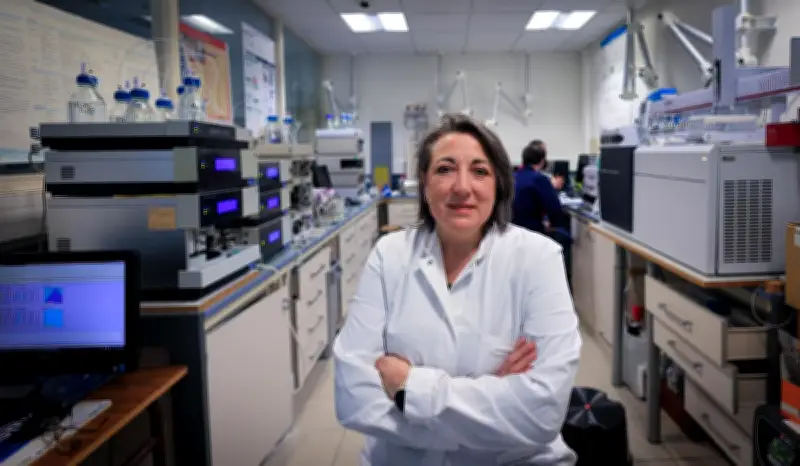 Bordeaux : l'IA révèle les signatures chimiques uniques des grands crus