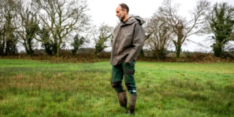 Bretagne : l'inquiétante disparition des prairies permanentes, symbole de l'élevage