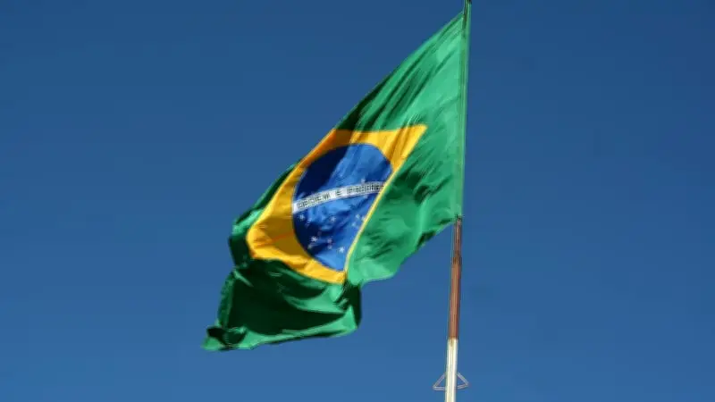 Brésil : une loi autorise désormais l'enterrement avec son animal de compagnie à Sao Paulo