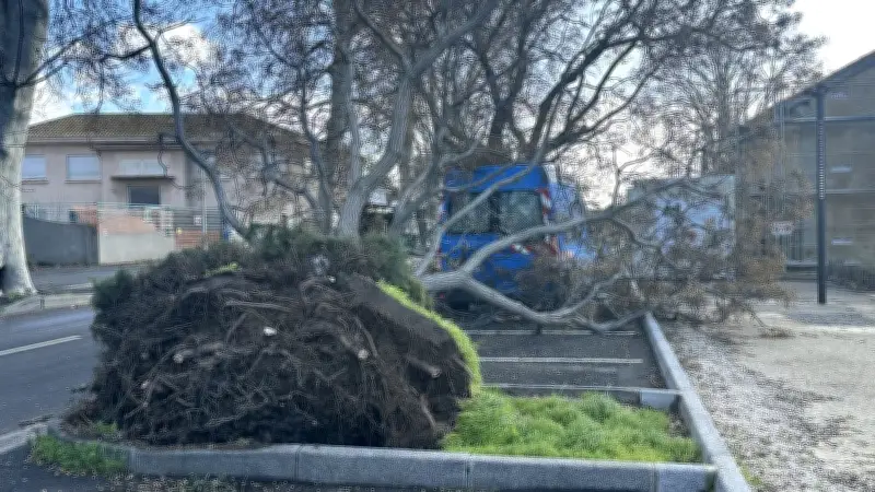 Béziers et Sérignan ferment écoles et crèches face aux vents violents de plus de 100 km/h