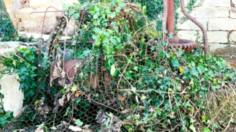 Canet sécurise son puits communal avant sa valorisation patrimoniale