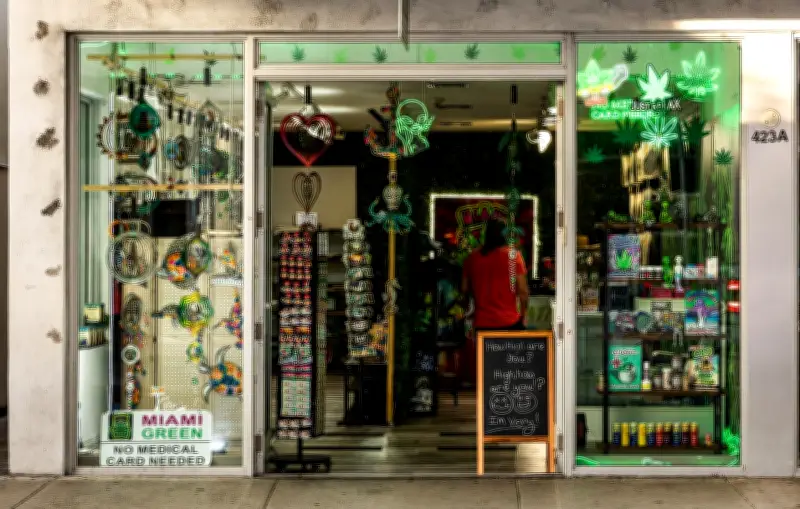 Cannabis aux États-Unis : entre normalisation et inquiétudes sanitaires