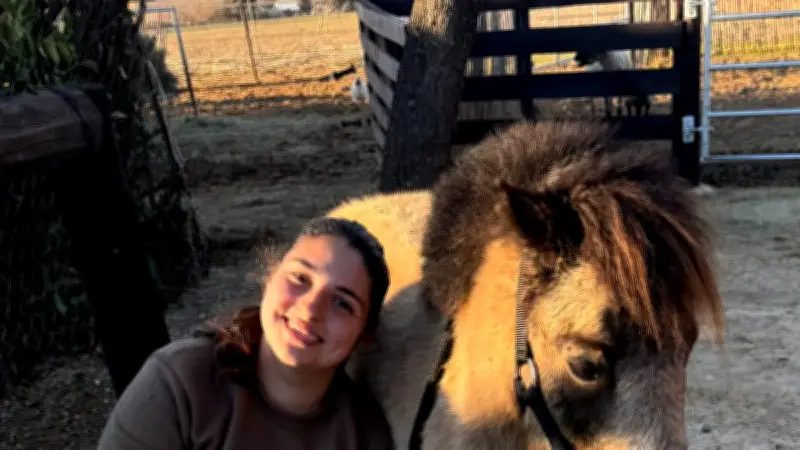 Carnaval aux Écuries de la Trayatte : une journée festive pour découvrir l'univers équestre