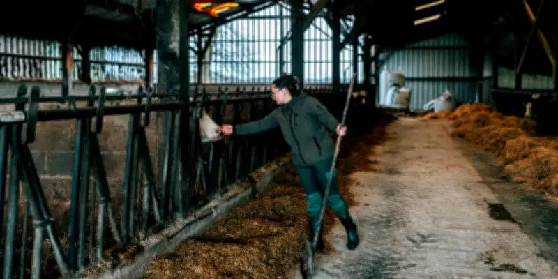 Écart salarial femmes-hommes : 21,8% en 2024, une réduction ralentie selon l'Insee