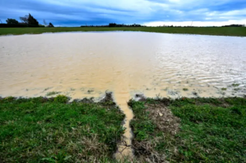 Carte des nappes phréatiques : la recharge ralentit malgré les pluies récentes