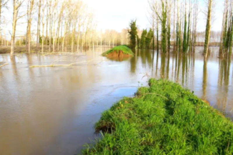 Caumont-sur-Garonne : l'adjoint au maire évalue les dégâts après la crue de la Garonne