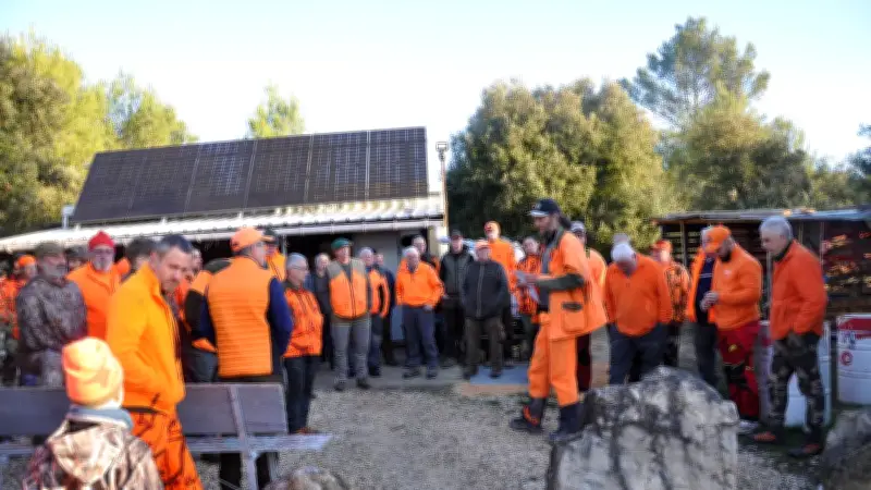 Chasse au grand gibier dans le Gard : les consignes de sécurité rigoureusement respectées