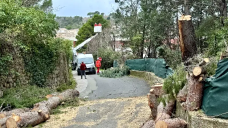 Clermont-l'Hérault : les habitants de la rue Émile-Zola retrouvent le courant après cinq jours de panne
