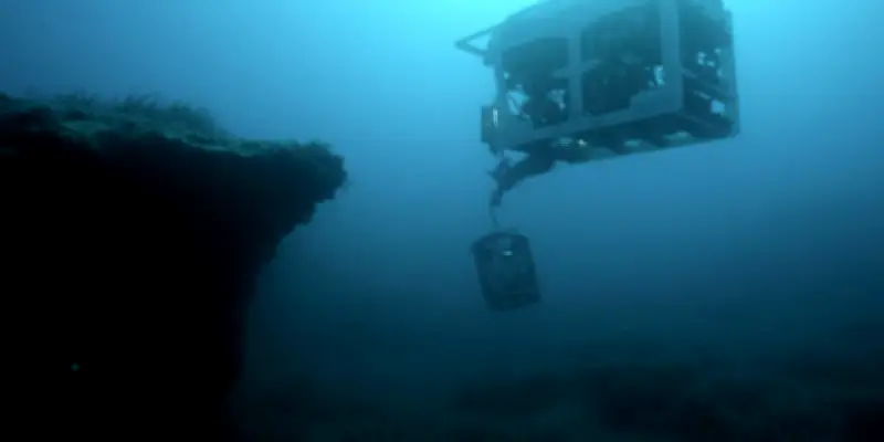 Clément Cogitore expose Ferdinandea au MuCEM et révèle ses talents de commissaire