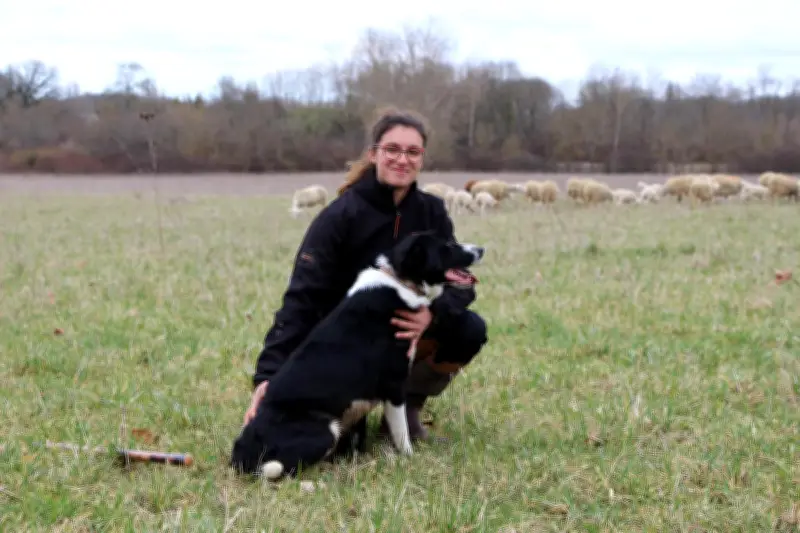 Coline Uscain, éleveuse de moutons, révolutionne le vignoble de Jarnac avec l'écopâturage