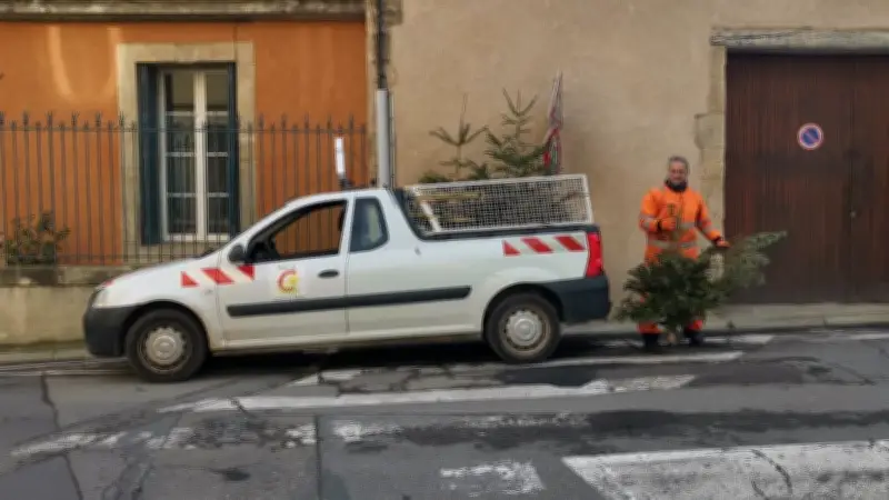 Collecte de sapins à Cazouls-lès-Béziers : 192 arbres recyclés pour les espaces verts