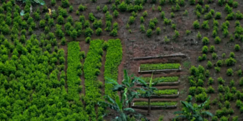 Colombie : des drones pour détruire les cultures de coca, une technologie soutenue par les États-Unis