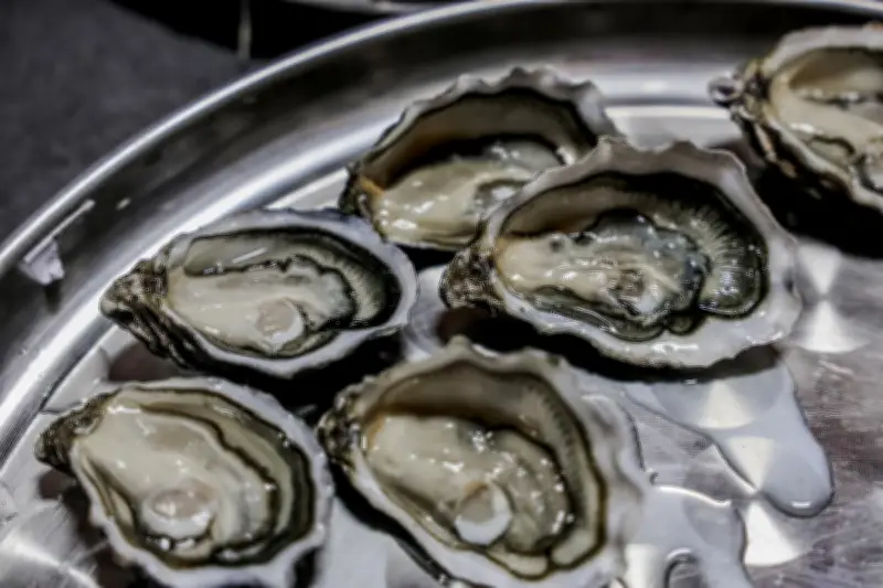 Concours Agricole 2026 : Les Huîtres de Charente-Maritime Brillent avec Douze Médailles