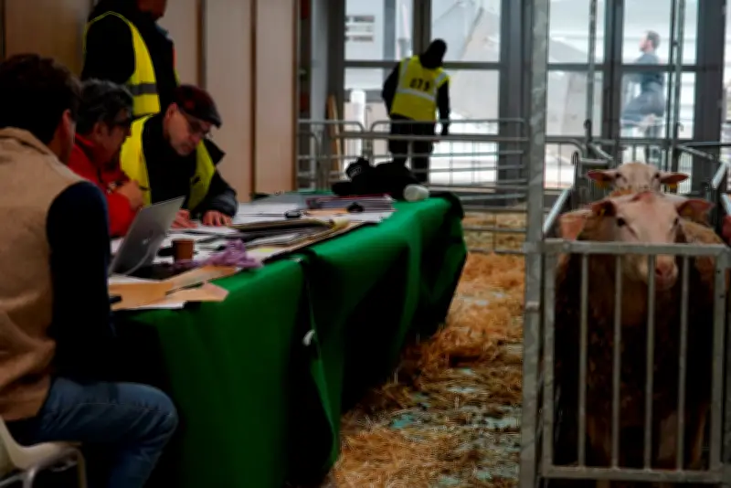 Crise agricole : entre lois inappliquées et promesses tardives, le Salon s'ouvre sur fond de défiance