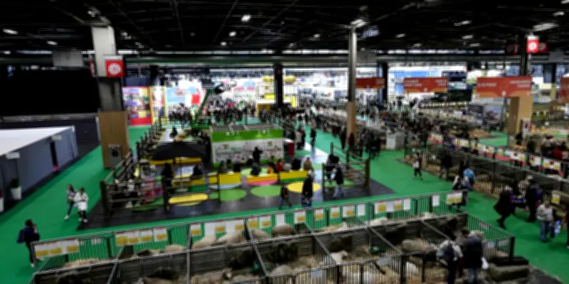 Crise agricole : les solutions gouvernementales critiquées pour leur approche court-termiste