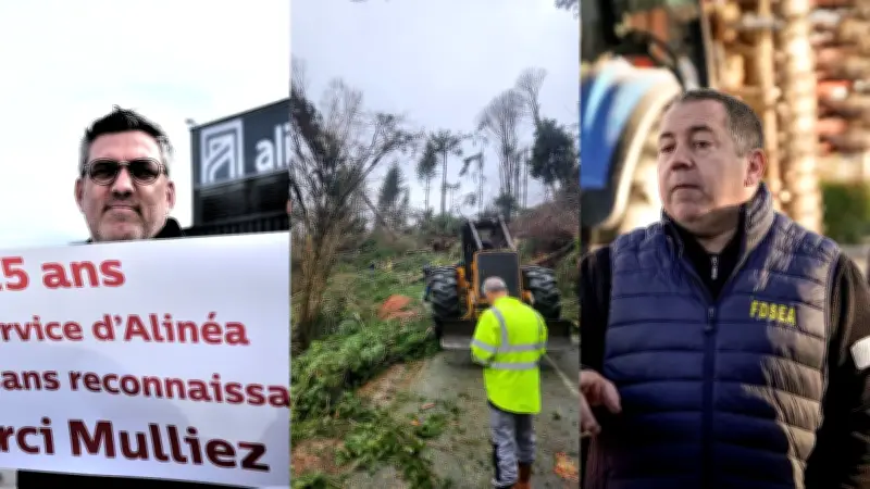 Crise à Alinéa, village isolé et solidarité agricole : l'actualité régionale du jour