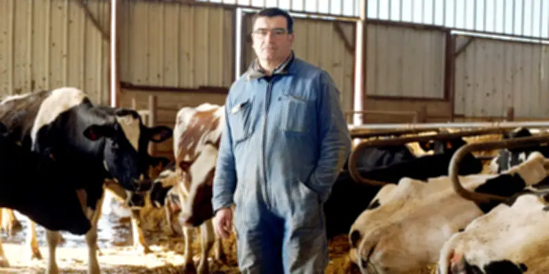 Crise bovine dans le Lot-et-Garonne : le silence mortuaire des étables après l'abattage