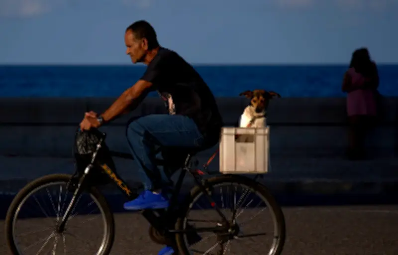 Crise énergétique à Cuba : coupures, transports paralysés, emplois menacés et inflation