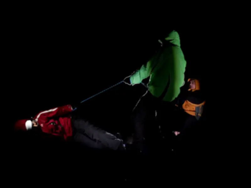 Croire aux fauves : une plongée dans l'ours solaire de Constance Dollé et Sandrine Raynal