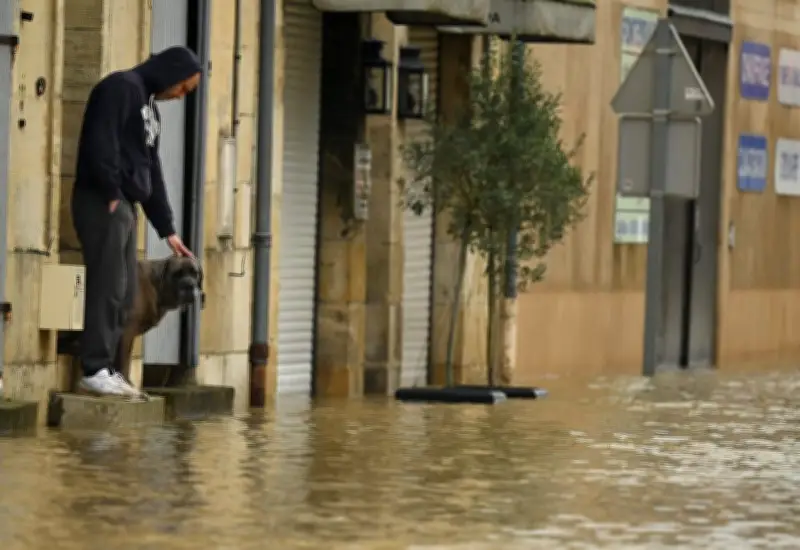 Crues : l'habitat menacé par l'intensification des inondations