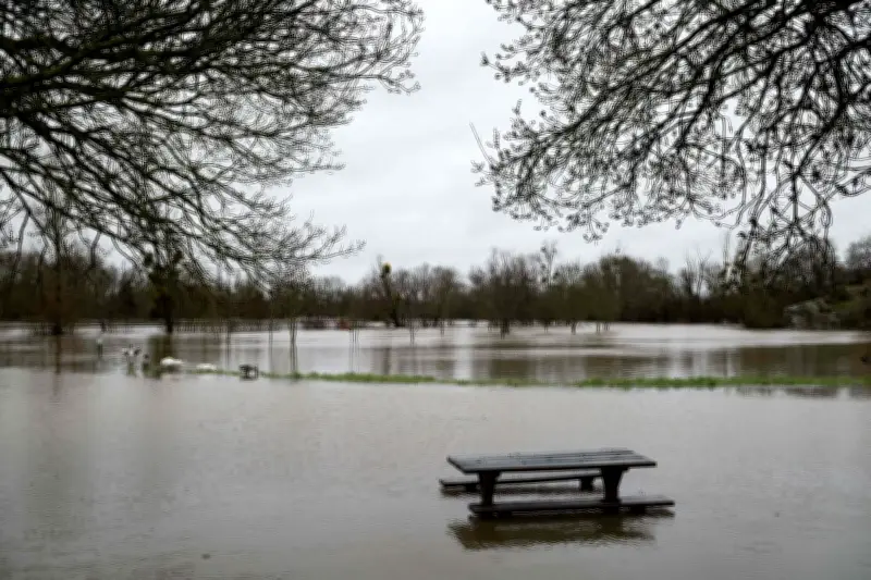 Crues meurtrières en Allemagne, visite française en Algérie : l'actualité du 16 février