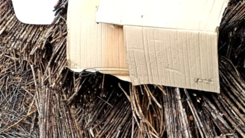 Déchets sauvages en hausse dans l'Hérault malgré les collectes renforcées