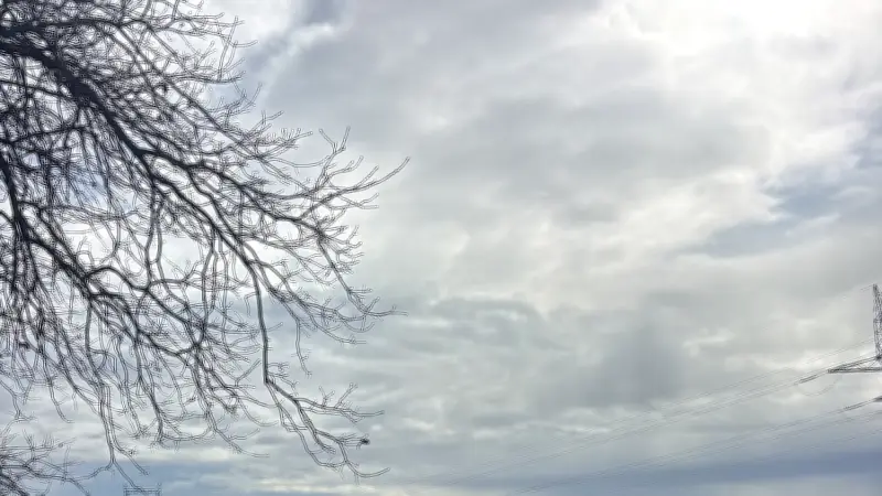 Des écoliers plantent une centaine d'arbustes avec la Fédération de chasse du Gard