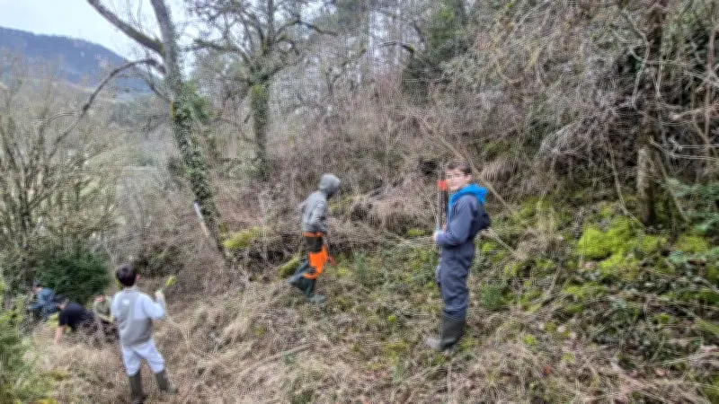 Des élèves de Lozère restaurent les terrasses du Frézal pour sécuriser un rucher-école